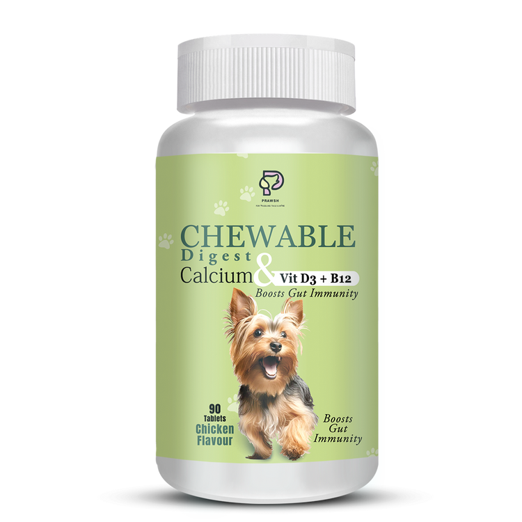 Chewable Digest Calcium Supplement