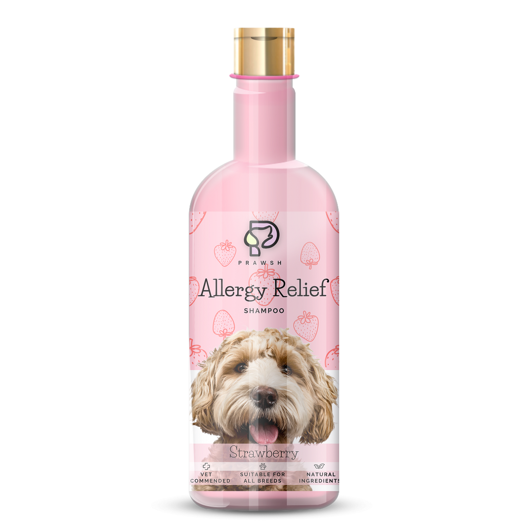 Prawsh Strawberry Allergy Relief Dog Shampoo (500ml)