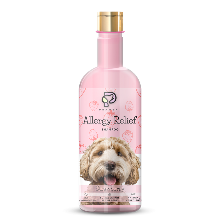 Strawberry dog outlet shampoo