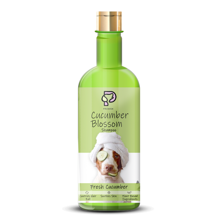 Prawsh Cucumber Blossom Odour Control Shampoo