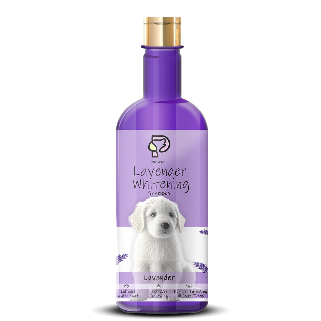 Prawsh Lavender Whitening Treatment Dog Shampoo