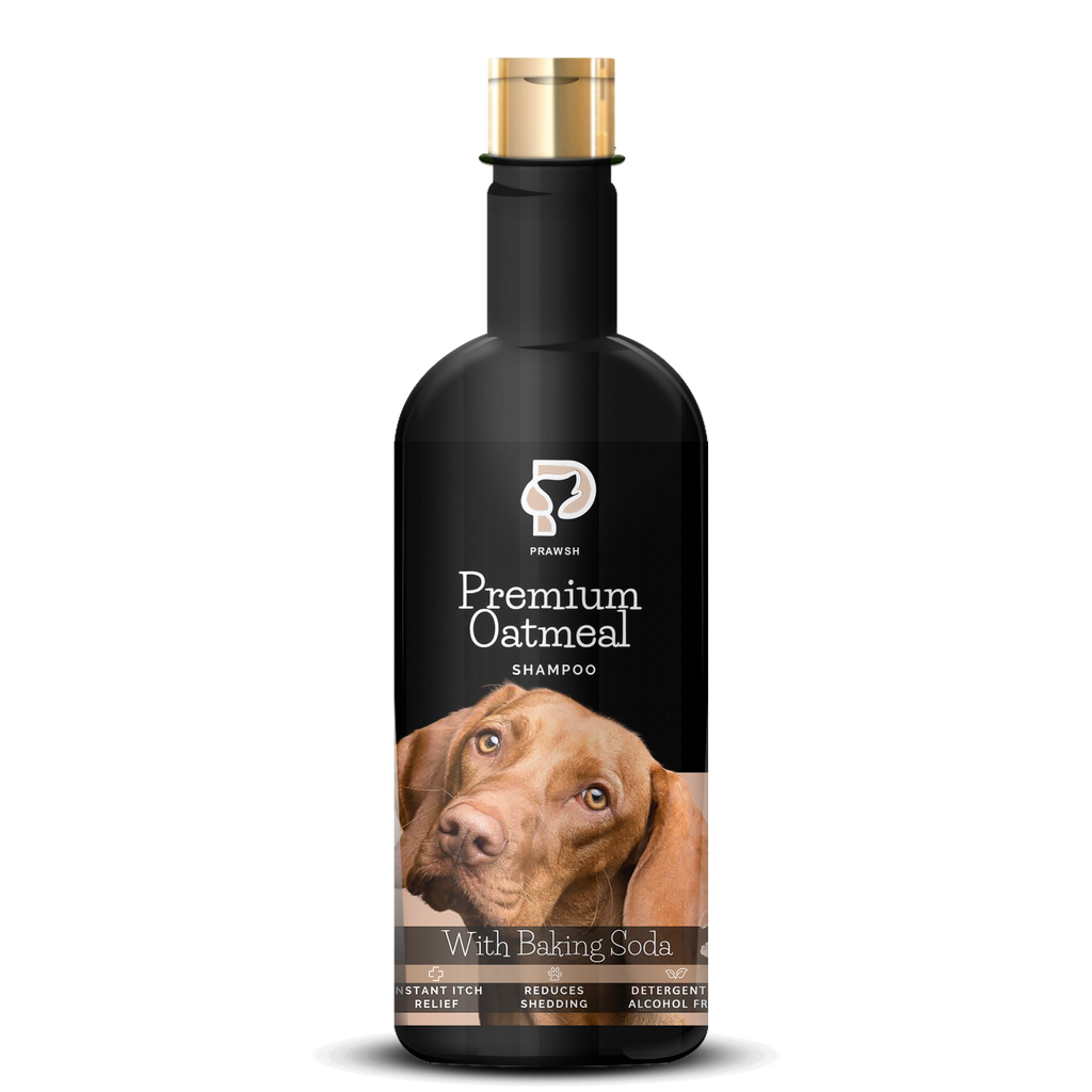 Prawsh Premium Oatmeal Anti-Itch Shampoo